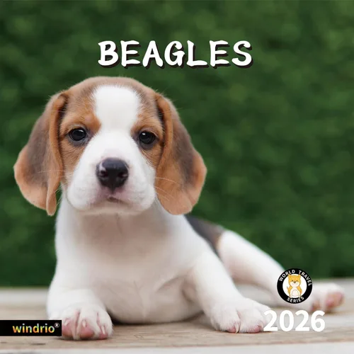 Calendario de pared 2026, calendario 2026, noviembre de 2025 a diciembre de 2026, calendario de pared Beagles, 12 x 24 pulgadas abierto, página