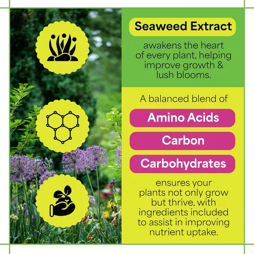 Miniatura 3 de Grow More Sea Grow Kelp Fertilizante – 1.5 libras de 16-16-16 – 16 – Alimento vegetal soluble en agua, multiusos, rico en nutrientes, fertilizante