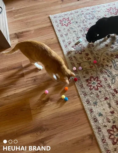 Miniatura 8 de Paquete de 40 pelotas para gatos - Divertidos juguetes interactivos para gatos y gatitos de interior (tiempo de juego)