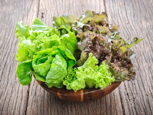 Miniatura 4 de Semillas Bebé Lechuga Vitamina Mezcla Balcón No GMO Heirloom