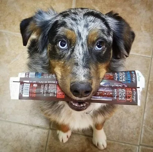 Miniatura 9 de etta says! Yumm Sticks - Golosinas de carne seca real para perros, carne seca de res, pollo, cerdo y pavo, grado humano, fabricadas en los Estados