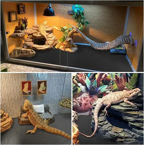 Miniatura 6 de Alfombra de Reptil, Alfombrilla de Reptil, Dragón Barbudo, Sustrato de Gecko Leopardo, Piso para Tanque de Dragón Barbudo, Serpiente, Cama