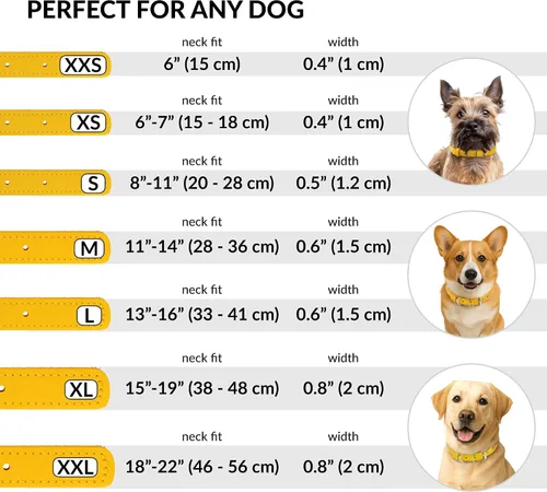 Miniatura 4 de CollarDirect Collar de cuero enrollado para perro, collar redondo acolchado suave para cachorros, hecho a mano, collar de cuero genuino para perros