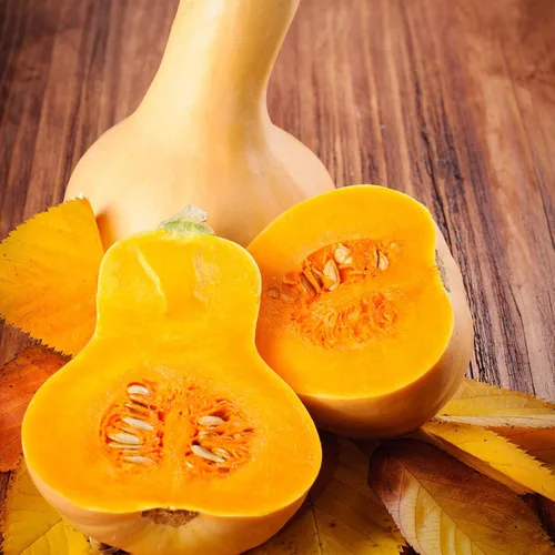 Miniatura 2 de Eden Brothers Semillas de calabaza (orgánicas) - Calabacín verde oscuro