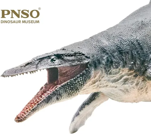 Miniatura 2 de PNSO Serie de Museos de Dinosaurios (Ron The Mosasaurus 1:35 Modelo de Arte Científico)