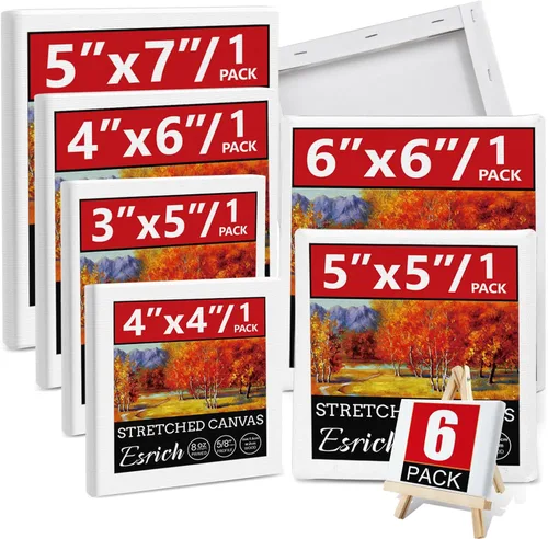 Paquete de 6 mini lienzos estirados para pintar de 3 x 5 pulgadas, 4 x 4 pulgadas, 4 x 6 pulgadas, 5 x 5 pulgadas, 5 x 7 pulgadas, 6 x 6 pulgadas,