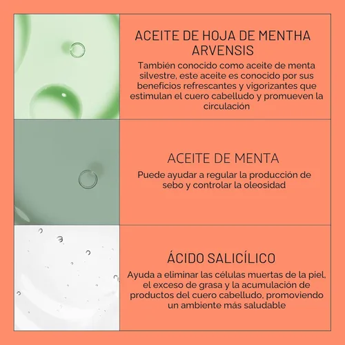 Miniatura 7 de Nioxin System 4 Champú Espesante para Cuero Cabelludo + Cabello para Cabello Teñido, Seco y Dañado con Adelgazamiento Progresivo Mantiene