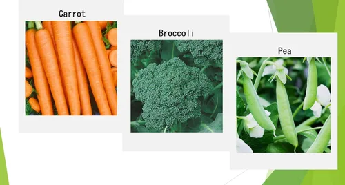 Miniatura 4 de Semillas Premium de Vegetales de Invierno para Plantación, Semillas Orgánicas, No Transgénicas, Autóctonas, 12 Variedades: Rábano, Guisante