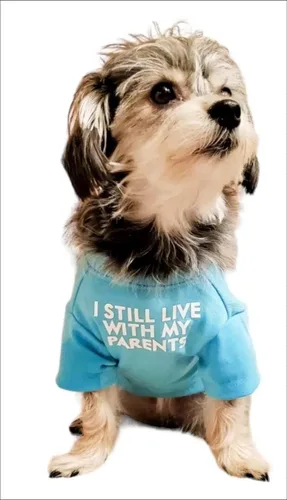 Miniatura 3 de Linda ropa para perros, camiseta para perros medianos y pequeños, hembra y macho, cachorro. Disfraz suave y transpirable para mascotas, perros