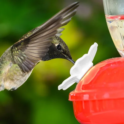 Miniatura 2 de Estink Flores de repuesto para comedero de colibríes, 30 juegos de cubiertas de puerto de alimentación multicolor para comederos de colibríes, atrae