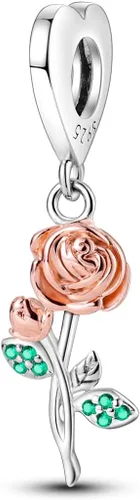 Hapour 925 Sterling Silver Charms for Bracelets Necklace European Jewelry Pendant Beads Charm for Women Mom