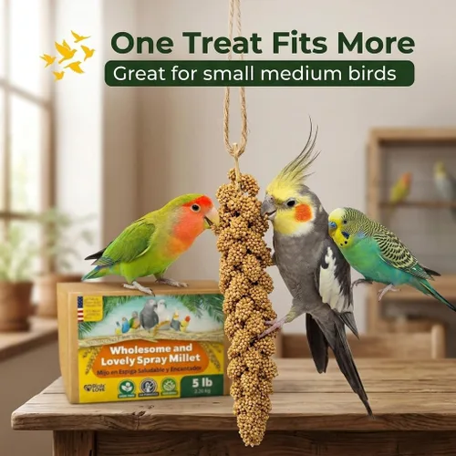 Miniatura 6 de Birds LOVE Mijo en aerosol saludable de 1 libra para pájaros, cultivado en Estados Unidos, natural secado al sol, racimos gruesos ricos en semillas