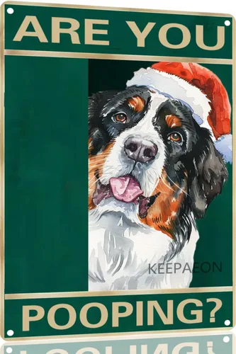 Miniatura 23 de Letrero de metal con texto en inglés "Beagle" Are You Pooping de 12 x 8 pulgadas, letrero de Navidad vintage, con sombrero de Papá Noel, divertido