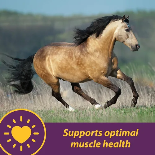 Miniatura 2 de Horse Health Vita E & Selenio Crumbles Suplemento vitamínico, apoya la salud muscular óptima y el apoyo antioxidante, suplementos de selenio