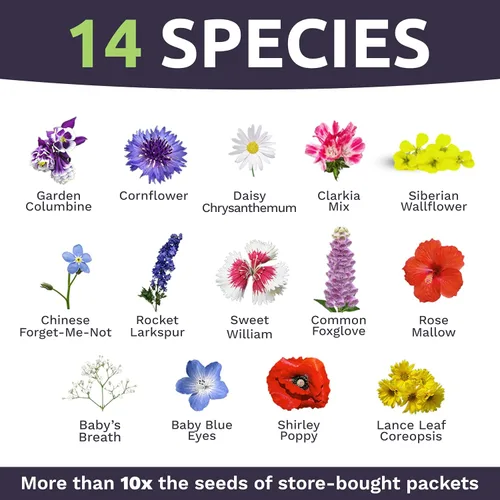 Miniatura 4 de Wildflower Seeds Mezcla de sombra parcial, 1 onza más de 7,000 semillas anuales y perennes polinizadas abiertas