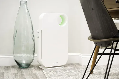 Miniatura 9 de OVAL AIR AIR1000A - Purificador de aire H13 True HEPA 5 en 1 de 3 etapas para alérgenos, polvo, mascotas, alergias, olor, humo, polen, habitaciones