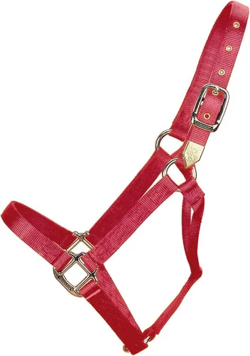 Miniatura 16 de Hamilton Caballo de nailon de 1 pulgada, tamaño pequeño (500-800 libras), azul baya