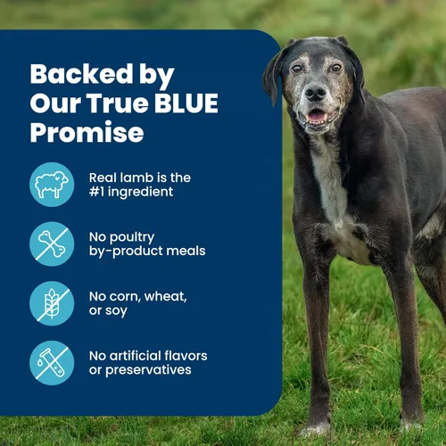 Miniatura 6 de Blue Buffalo Life Protection Formula - Alimento seco para perros adultos de raza grande, promueve la salud de las articulaciones y los músculos