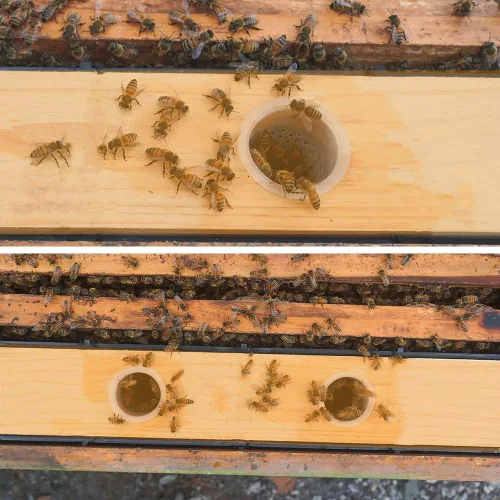 Miniatura 6 de Alimentador de colmena de abeja de 6L, alimentadores de abejas para colmenas,Alimentadores de marco para colmenas de abejas,Alimentador de alimentos