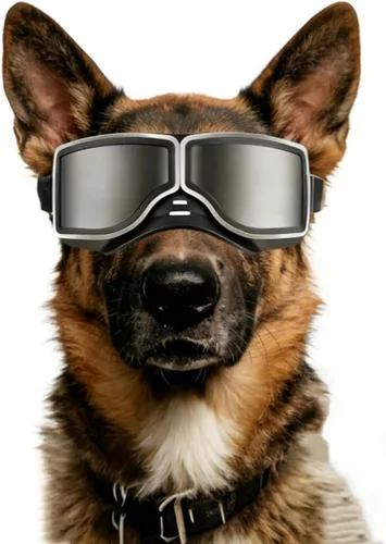 Miniatura 12 de Gafas de sol transparentes para perros NAMSAN y gafas de sol negras para perros de raza mediana a grande, 2 piezas, protección ocular para perros al