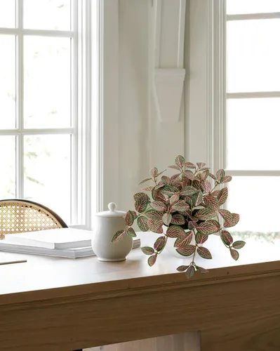 Miniatura 7 de Hollyone Plantas falsas, 2 paquetes de plantas artificiales de interior con maceta de plástico blanco, pequeña planta falsa en maceta para el hogar