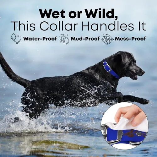Miniatura 3 de Collar impermeable para perro con anillo central resistente Collar para perros pequeños, medianos, grandes o XL, Azul Azul / Patchwork