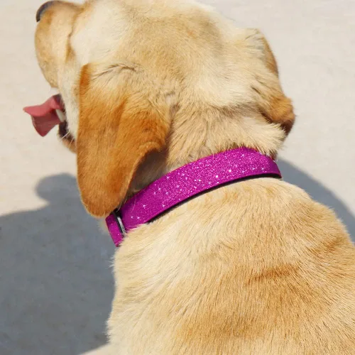 Miniatura 3 de TDTOK Collar Básico Brillante para Perro, Collar para Perro Cómodo y Duradero para Perros Pequeños, Medianos y Grandes con Hebilla de Plástico