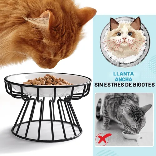 Miniatura 2 de Cuencos para gatos Wellbro, cuenco elevado para gatos, plato elevado de cerámica con soporte de metal, estación de alimentación de agua o comida