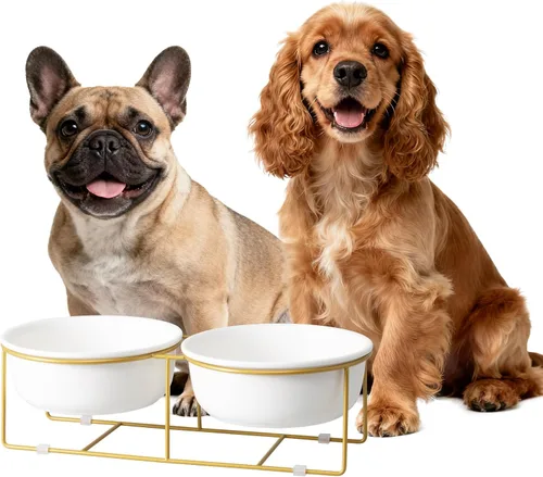 Miniatura 11 de Cuenco elevado elevado de cerámica blanca para gatos y perros, plato elevado para comida para gatos, cuenco de agua para mascotas, cómodo y cómodo