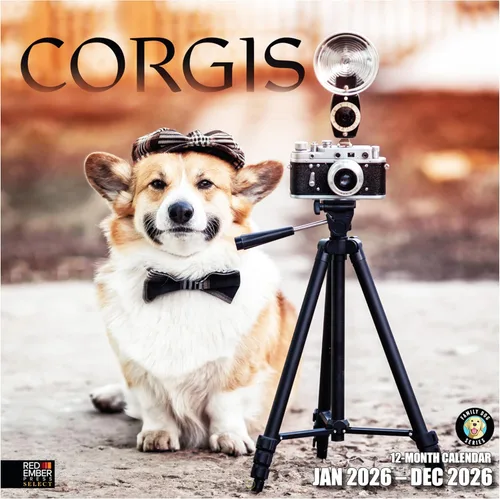 RED EMBER Select - Calendario de pared Corgis 2026 de 12 meses | 12 x 24 pulgadas abierto | Papel grueso y resistente | Regalo | Calendario 2026