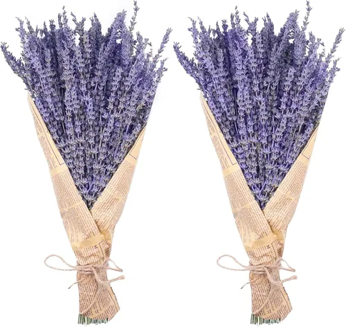 Miniatura 11 de Paquetes de Lavanda Seca, Uieke Flores de Lavanda Seca Natural 280-300 Tallos 16" para Decoración de Bodas en el Hogar Arreglos Florales Accesorios