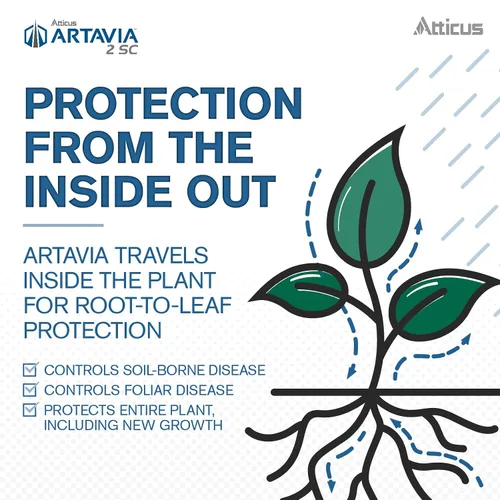 Miniatura 4 de Atticus Artavia 2 SC Fungicida azoxistrobina (16 onzas) - Control de hongos para césped y paisajes - Antracnosis, parche marrón, mancha foliar