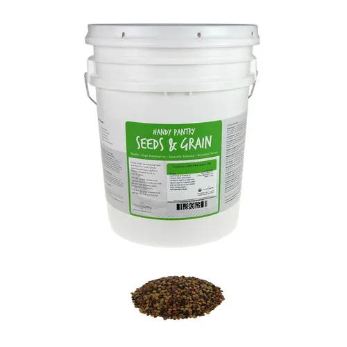 Miniatura 7 de Semilla de germinación de lentejas verdes secas orgánicas: 2.5 lb - Lentejas secas para plantar semillas de jardín, sopa, cocinar o ensalada