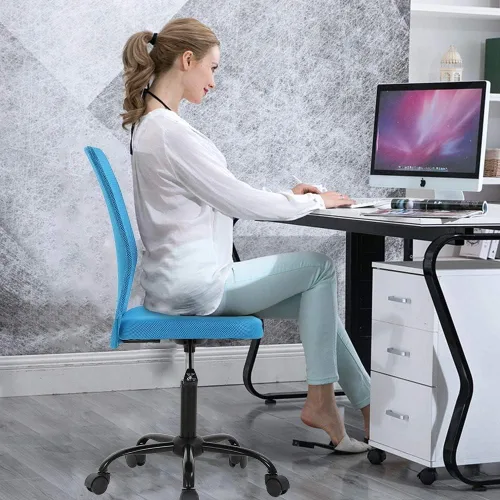 Miniatura 2 de HGS Silla de trabajo ergonómica sin brazos, silla de escritorio para computadora de oficina, silla de oficina en casa con soporte lumbar, silla