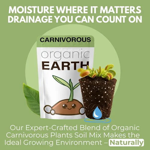 Miniatura 5 de Organic Earth Mezcla de suelo para plantas carnívoras de 1 cuarto de galón – Alimento vegetal Turba Musgo y Perlita para plantas carnívoras – Suelo