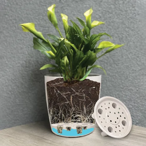 Miniatura 7 de Maceta de bambú con riego automático de 16 pulgadas, maceta rectangular ecológica para interiores y exteriores, maceta de bambú sostenible con Negro