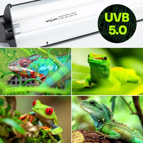 Miniatura 2 de REPTI ZOO Kit combinado de iluminación para reptiles T5 HO UVB de 39 W, campana de terrario de reptil de 34 pulgadas, con reflector curvado