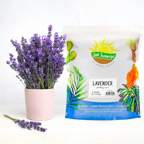 Miniatura 2 de Soil Sunrise Mezcla de tierra para macetas de lavanda (8 cuartos de galón) para interiores y exteriores, mezcla de jardinería para plantas