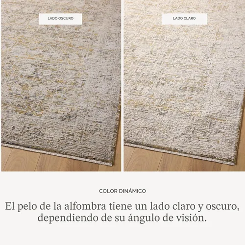 Miniatura 5 de Loloi Amber Lewis Alie Collection ALE-05 - Alfombra decorativa de carbón/beige de 2 pies y 3 pulgadas x 3 pies y 10 pulgadas, altura de pelo de 0.13