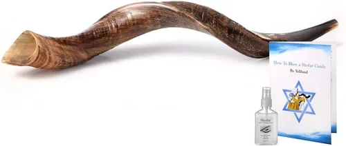 Miniatura 7 de Auténtico shofar de cuerno kudu yemenita – Instrumento bíblico espiritual para adoración judía y cristiana, oración y festivales – Incluye spray