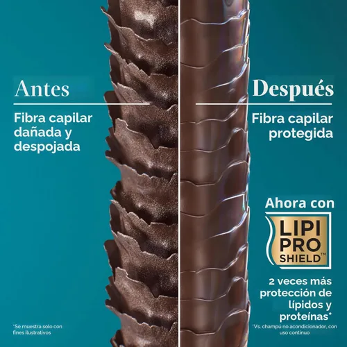 Miniatura 6 de OGX Espeso y Abundante + Biotina y Colágeno para Volumen y Cuerpo del Cabello, Champú y Acondicionador Voluminizador Sin Sulfatos para Cabello Fino