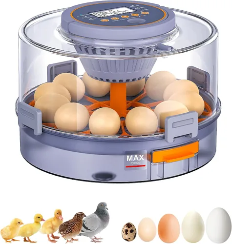 Incubadoras para incubar huevos, 12 incubadoras de pollo con giro automático de huevos y control de humedad, suministros acogedores con vela de