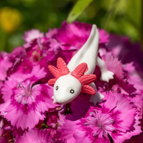 Miniatura 3 de Accoutrements Archie McPhee Itty Bitty Axolotls 8 Pack