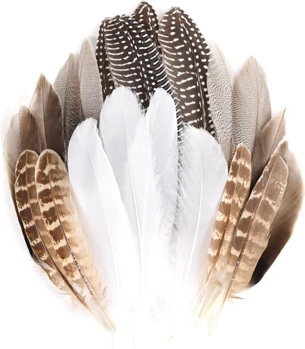 Miniatura 9 de MAOFENG 20 plumas naturales de faisán, 5 estilos de 5 a 9 pulgadas, 5.1-9.1 in para manualidades, boda, hogar, fiesta, sombrero, arreglos florales