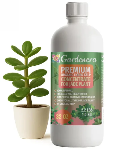 Miniatura 43 de GARDENERA Superalimento orgánico prémium de algas marinas y algas marinas para plantas AGLAONEMA, 8 onzas, concentrado de fertilizante líquido