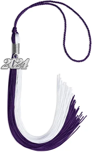 Miniatura 74 de Endea Graduation Borla de doble color con gota de fecha plateada (negro/oro antiguo, 2025)