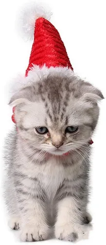 Miniatura 2 de Sombrero de Papá Noel de conejillo de indias, gatito, conejo, hámster, chinchilla, erizo, hurones, ardilla, sombrero de Navidad, gorra de Papá Noel