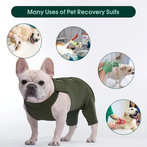 Miniatura 7 de Kuoser Manga de Protección para Heridas en Muslos para Perros, Traje de Recuperación Quirúrgica para Perros para Patas Traseras, Manga de Verde