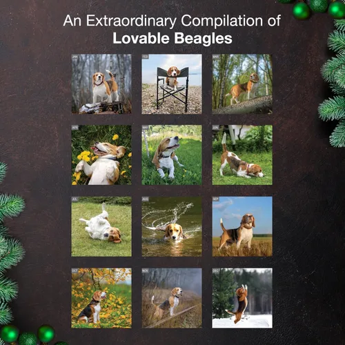 Miniatura 3 de MICASA PRESS Beagles - Calendario de pared 2026 de 12 meses 12 x 24 pulgadas abierto Papel grueso y resistente Regalo Lindo calendario