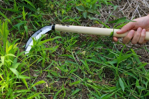 Miniatura 5 de KAKURI Herramienta de jardín de hoz japonesa de 7 pulgadas [hoja especial de triple filo] fabricada en Japón, hoz de jardín para césped suave, hoja